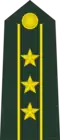 Colonel