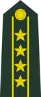 Colonel commandant
