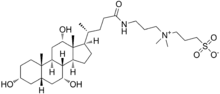Structural formula of CHAPS detergent