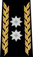 DivisionärDivisionnaire(Swiss Army)
