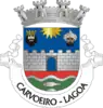 Coat of arms of Carvoeiro