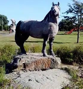 Equus amerhippus lasallei