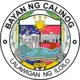 Official seal of Calinog