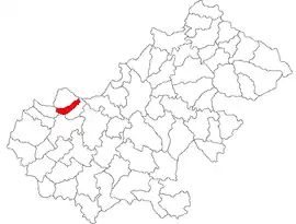 Location in Satu Mare County