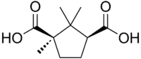 Skeletal formula of camphoric acid