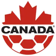 Shirt badge/Association crest