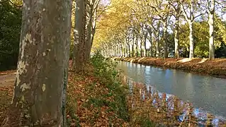 Canal du Midi (17th c.).