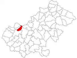 Location in Satu Mare County