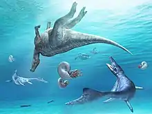 Large marine predators of the late Cretaceous; Mosasauridae, Ammonoidea. Also, driftwood and drifting dinosaur corpse.
