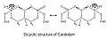 Cardiolipin bicyclic structure