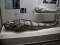 Mummies from the Walton Hall of Ancient Egypt.