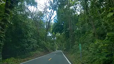 Puerto Rico Highway 146 in Cordillera barrio