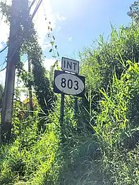 PR-164 near its junction with PR-803 in Palmarejo, Corozal
