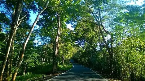 Puerto Rico Highway 823 in Río Lajas