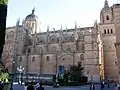 Facade of the Puerta de Ramos of the New Cathedral from the Plaza de Anaya