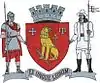 Coat of arms of Căușeni