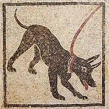 ‘Cave canem’ (beware of the dog) mosaic