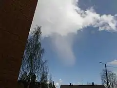 Rain evaporating before reaching the ground (virga)