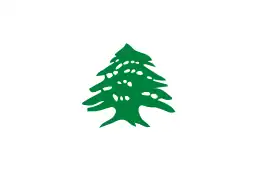 Flag of the region of Lebanon after the fall of the Ottoman Empire (1918–1920)