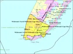 Census Bureau map of Lower Township, New Jersey