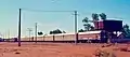 The Ghan in the narrow-gauge diesel-hauled era (pre-1980 on the Central Australia Railway): the train is ready to depart Alice Springs (about 1973)
