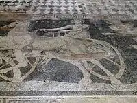 Central panel of the Abduction of Helen by Theseus, floor mosaic, detail of the charioteer, from the House of the Abduction of Helen, (c. 300 BC), ancient Pella