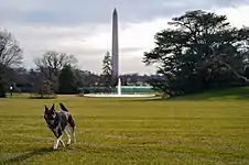 Major on the White House lawn in January 2021.