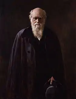Three-quarter portrait of a senior Darwin dressed in black before a black background; his face and six-inch white beard are dramatically lit from the side; his eyes are shaded by his brows and look directly and thoughtfully at the viewer