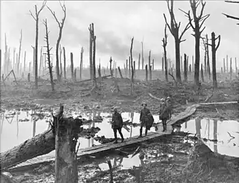 Image 32Australian soldiers in Chateau Wood, near Hooge, in the Ypres Salient, 29 October, 1917. Photo credit: Frank Hurley.