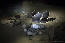 Image 24Che Chem Ha Cave (from Tourism in Belize)