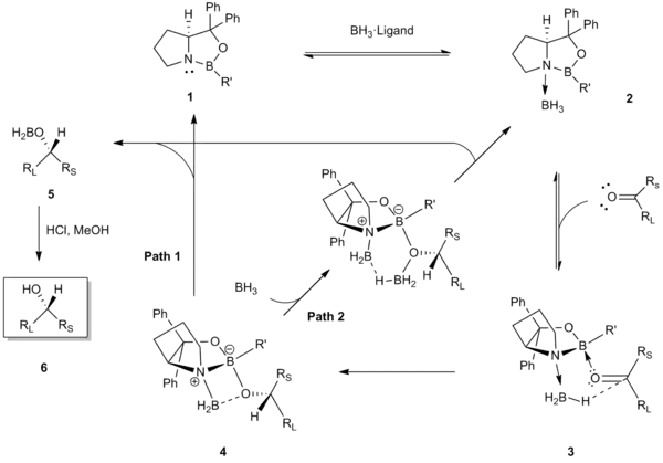 Mechanism of CBS reduction