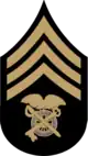 US chevron - quartermaster sergeant insignia (1902-1909)  buff on black with blue detail.