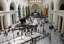 Image 11The main hall of the Field Museum of Natural History in 2007, with Sue the T. rex in the foreground (from Culture of Chicago)