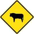 Watch for dosmetic animals
