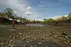Chiswick Eyot channel at low tide