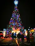 Christmas tree, Plaza, Las Cruces, New Mexico, USA