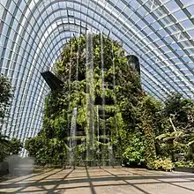 Cloud Forest from the entrance of the site, Gardens by the Bay, Singapore.