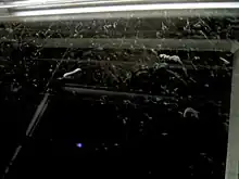 Cloud chamber with visible tracks from ionizing radiation (short, thick: α-particles; long, thin: β-particles). See also Animated Version