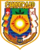 Coat of arms of Enerhodar