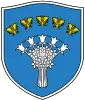 Coat of arms of Chervyen