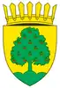 Coat of arms of Trușeni