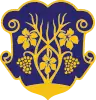 Coat of arms of Uzhhorod