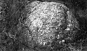 Cobble bed in Hellam Conglomerate Member