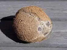 Coconut on table