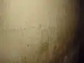 Original Graffiti in basement cell