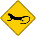 SP-49 Lizard crossing