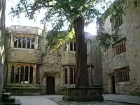 A courtyard in a medieval building with a large yew tree growing in the centre.
