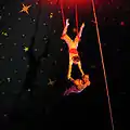 Double trapeze act at Continental Circus Berlin