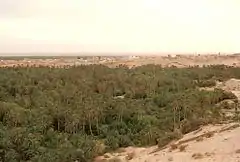 The original oasis of Nefta is known as "the basket" as it is located down the hills