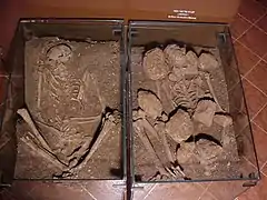 Skeletons discovered at ʿAin Mallaha